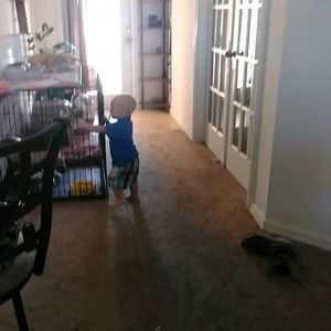 Meet your Posher, Dionna